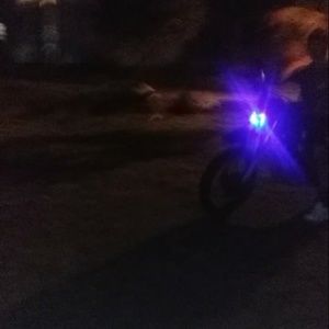 Meet your Posher, Marlon